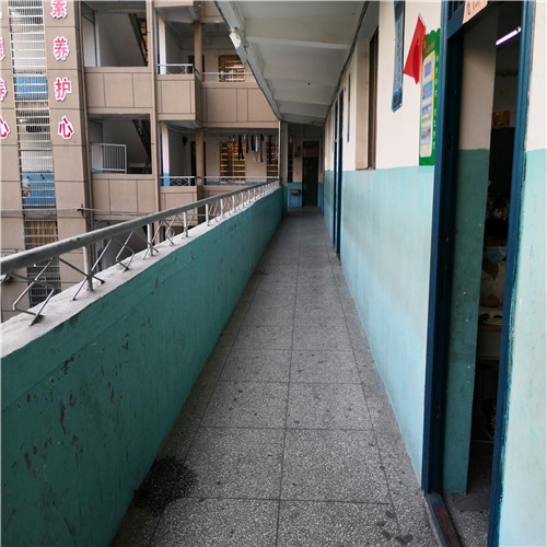 学校图片 (57).jpg